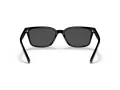 Coach C6196 HC 8328U 500287 57 Men sunglasses