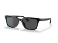Coach C6196 HC 8328U 500287 57 Men sunglasses