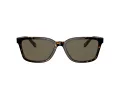 Coach C6196 HC 8328U 512003 57 Men sunglasses