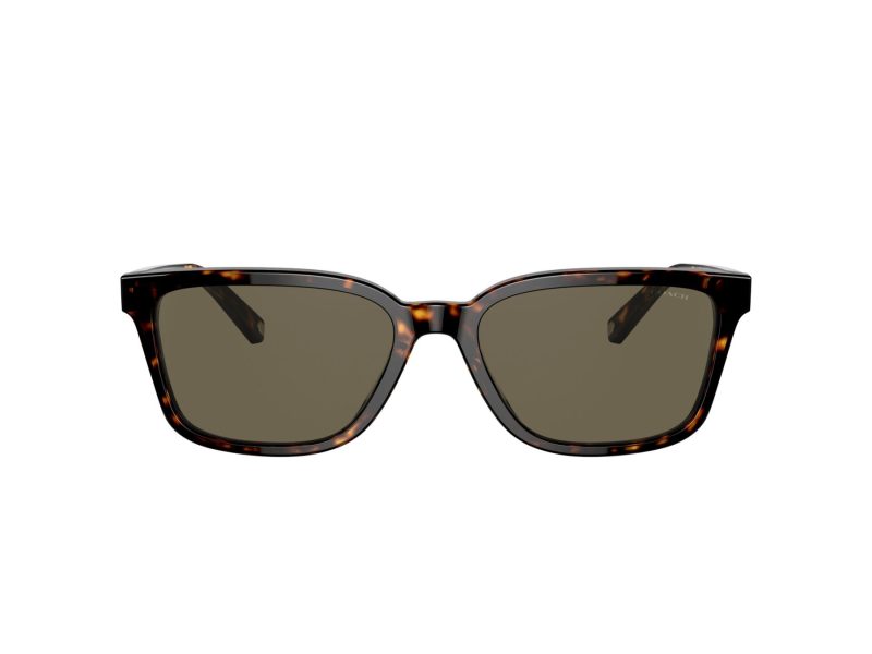 Coach C6196 HC 8328U 512003 57 Men sunglasses