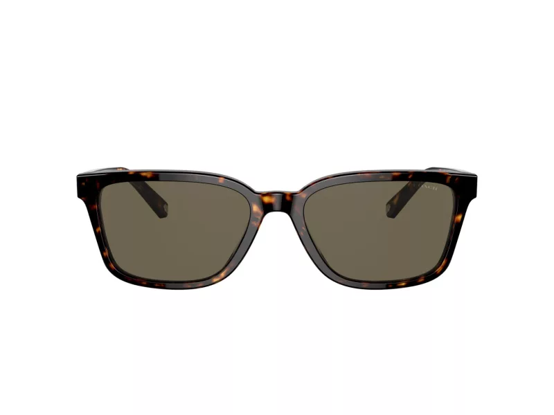 Coach C6196 HC 8328U 512003 57 Men sunglasses