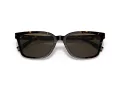 Coach C6196 HC 8328U 512003 57 Men sunglasses