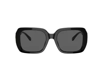 Coach C6188 HC 8329U 500287 53 Women sunglasses
