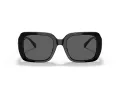 Coach C6188 HC 8329U 500287 53 Women sunglasses