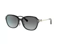 Coach C6199 HC 8332D 500211 56 Women sunglasses