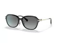 Coach C6199 HC 8332D 500211 56 Women sunglasses
