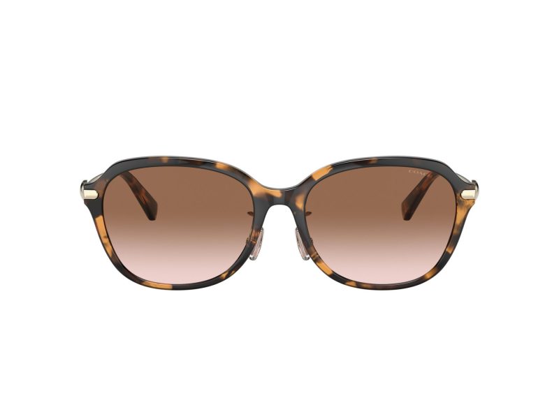 Coach C6199 HC 8332D 512013 56 Women sunglasses