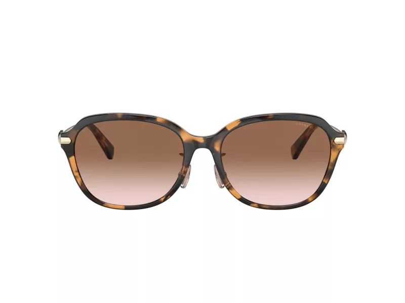 Coach C6199 HC 8332D 512013 56 Women sunglasses
