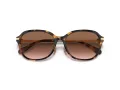 Coach C6199 HC 8332D 512013 56 Women sunglasses