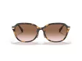 Coach C6199 HC 8332D 512013 56 Women sunglasses