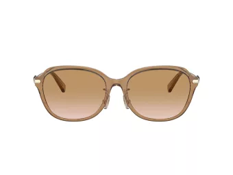 Coach C6199 HC 8332D 565413 56 Women sunglasses