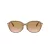 Coach C6199 HC 8332D 565413 56 Women sunglasses