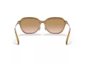 Coach C6199 HC 8332D 565413 56 Women sunglasses