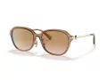 Coach C6199 HC 8332D 565413 56 Women sunglasses