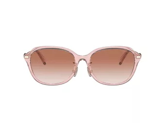 Coach C6199 HC 8332D 566613 56 Women sunglasses