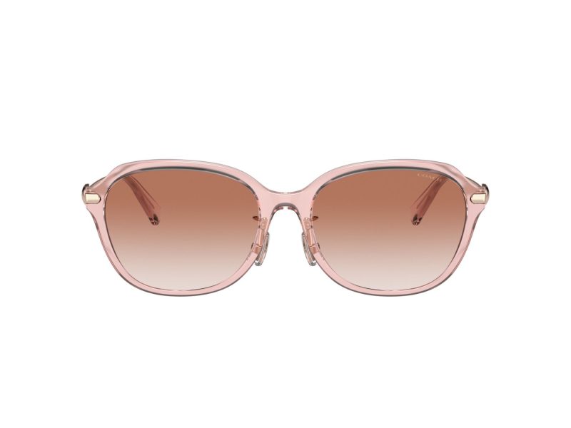 Coach C6199 HC 8332D 566613 56 Women sunglasses