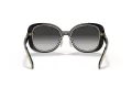 Coach C7995 HC 8333 50023C 53 Women sunglasses