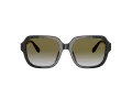 Coach C7989 HC 8335U 50027Z 53 Women sunglasses
