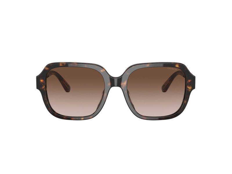Coach C7989 HC 8335U 512013 53 Women sunglasses