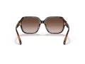 Coach C7989 HC 8335U 512013 53 Women sunglasses