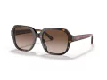 Coach C7989 HC 8335U 512013 53 Women sunglasses