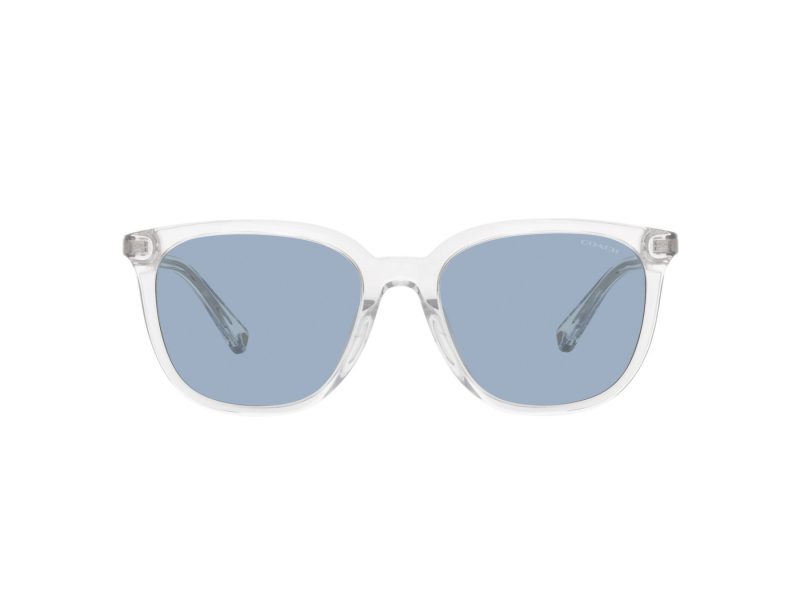 Coach C8006 HC 8338U 511172 55 Men sunglasses