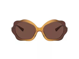 Coach C9200 HC 8346BU 57016G 55 Women sunglasses