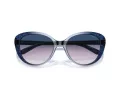 Coach Cd479 HC 8348U 57088H 56 Women sunglasses