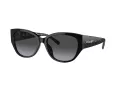 Coach Ch563 HC 8362U 50028G 57 Women sunglasses