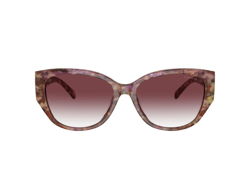 Coach Ch563 HC 8362U 57398H 57 Women sunglasses
