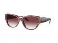 Coach Ch563 HC 8362U 57398H 57 Women sunglasses