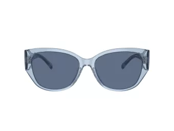 Coach Ch563 HC 8362U 574080 57 Women sunglasses