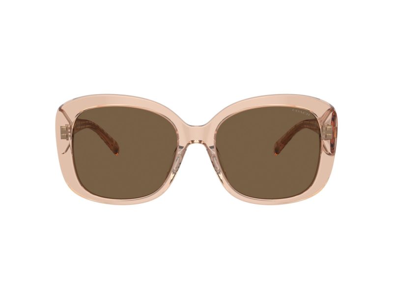 Coach Ch564 HC 8363U 556173 56 Women sunglasses