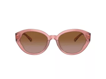 Coach Ch569 HC 8364U 574313 55 Women sunglasses