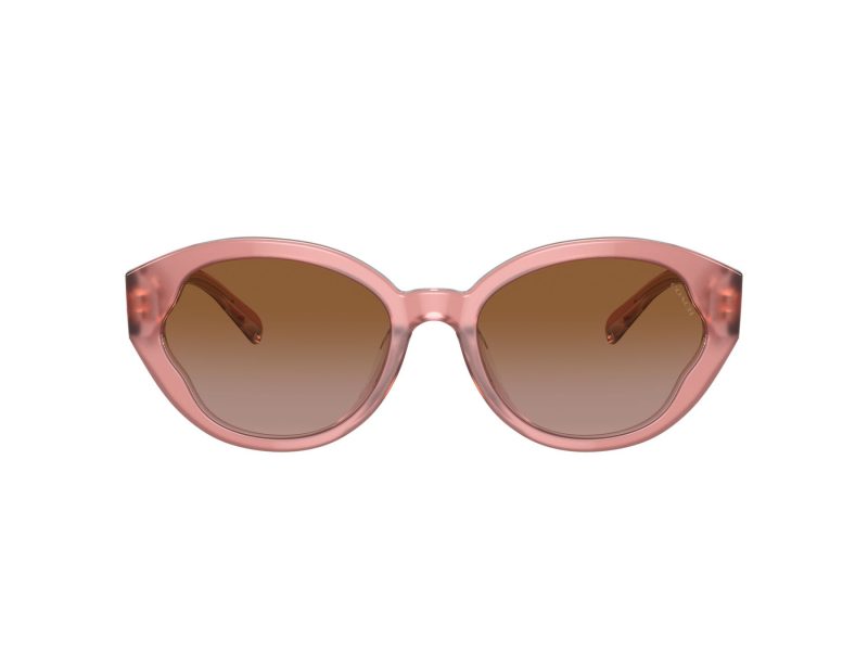 Coach Ch569 HC 8364U 574313 55 Women sunglasses