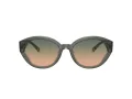 Coach Ch569 HC 8364U 574613 55 Women sunglasses