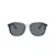 Coach Ch577 HC 8366 575480 54 Men sunglasses