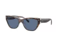 Coach Ch570 HC 8370U 574280 54 Women sunglasses