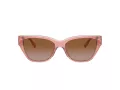 Coach Ch570 HC 8370U 574313 54 Women sunglasses