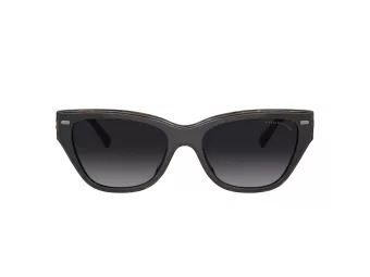 Coach Ch570 HC 8370U 5764T3 54 Women sunglasses