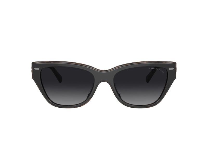 Coach Ch570 HC 8370U 5764T3 54 Women sunglasses