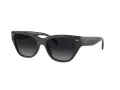 Coach Ch570 HC 8370U 5764T3 54 Women sunglasses