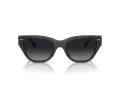 Coach Ch570 HC 8370U 5764T3 54 Women sunglasses