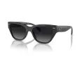Coach Ch570 HC 8370U 5764T3 54 Women sunglasses