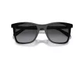 Coach Ch561 HC 8374U 50028G 51 Women sunglasses
