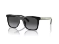 Coach Ch561 HC 8374U 50028G 51 Women sunglasses