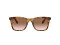 Coach Ch561 HC 8374U 512013 51 Women sunglasses
