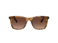 Coach Ch561 HC 8374U 5120T5 51 Women sunglasses
