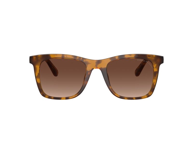 Coach Ch561 HC 8374U 5120T5 51 Women sunglasses