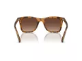 Coach Ch561 HC 8374U 5120T5 51 Women sunglasses